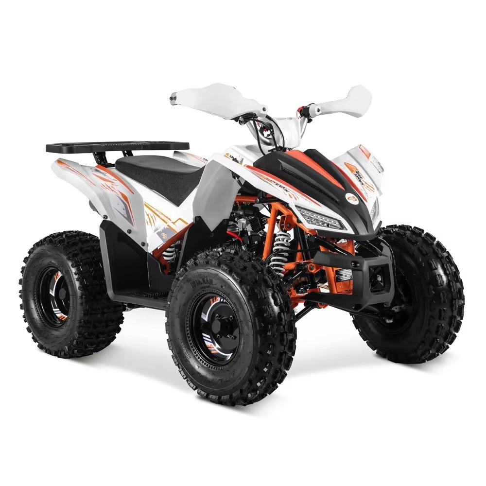 Stlf Tao Motor 2026 Nuovo Desi - Bike Chain recensione e prezzo